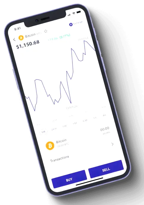 Zhuskaldon analisi finanziaria